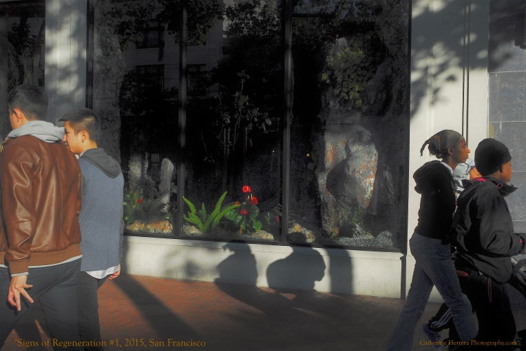 'Signs of Regeneration #1, S.F. Street Scenes, 2015,' photograph by Catherine Herrera, Flor de Miel Fotos, Contact for License.